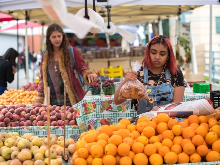 farmers market